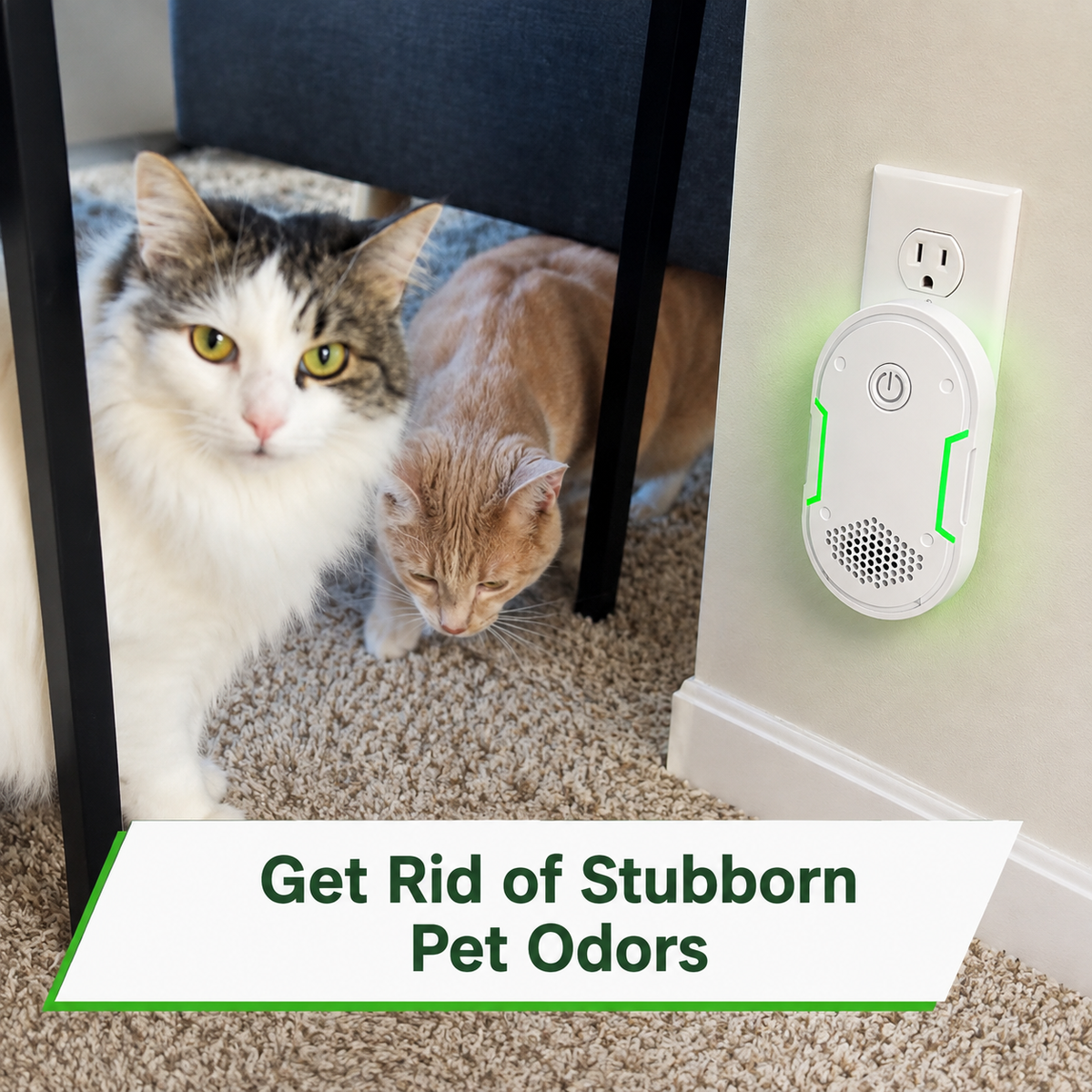 Billhol®  Portable Odor Removal Machiner | Smoke, Pet, Kitchen & Car Odor Treatment🐿️