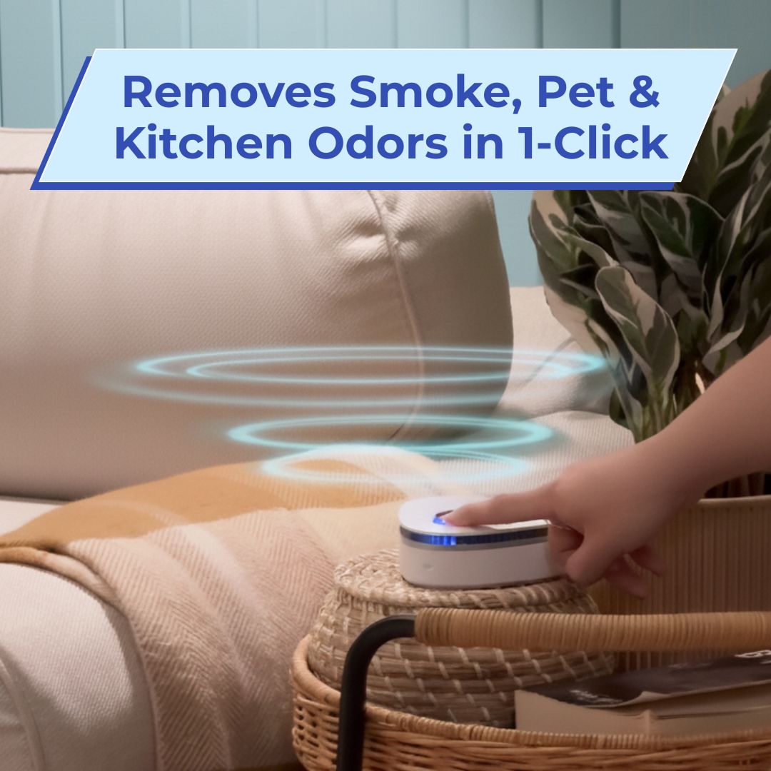 Billhol®  Portable O₃ Odor Removal Machiner | Smoke, Pet, Kitchen & Car Odor Treatment